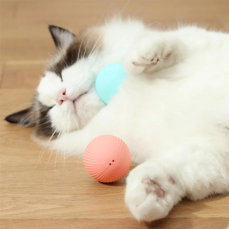PlayMotion™ – Interactive Smart Pet Ball