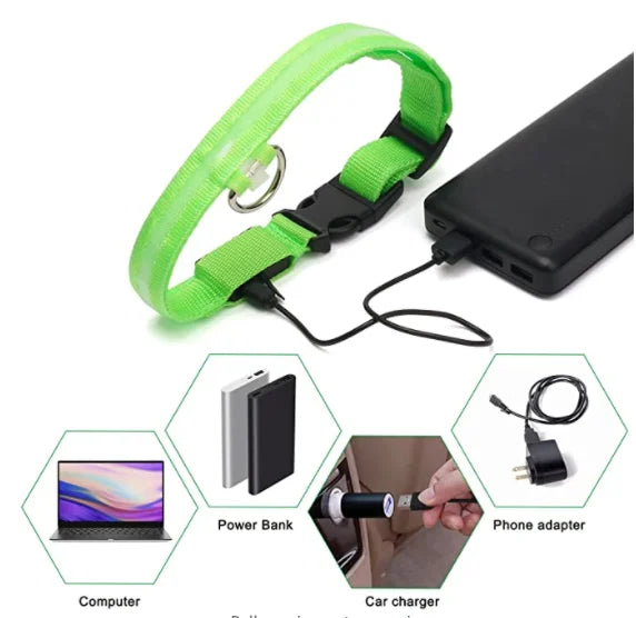 GlowSafe™ – USB Rechargeable LED Dog Collar