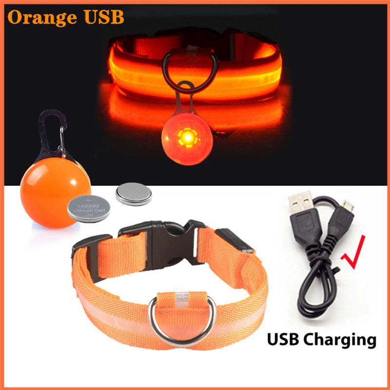 GlowSafe™ – USB Rechargeable LED Dog Collar