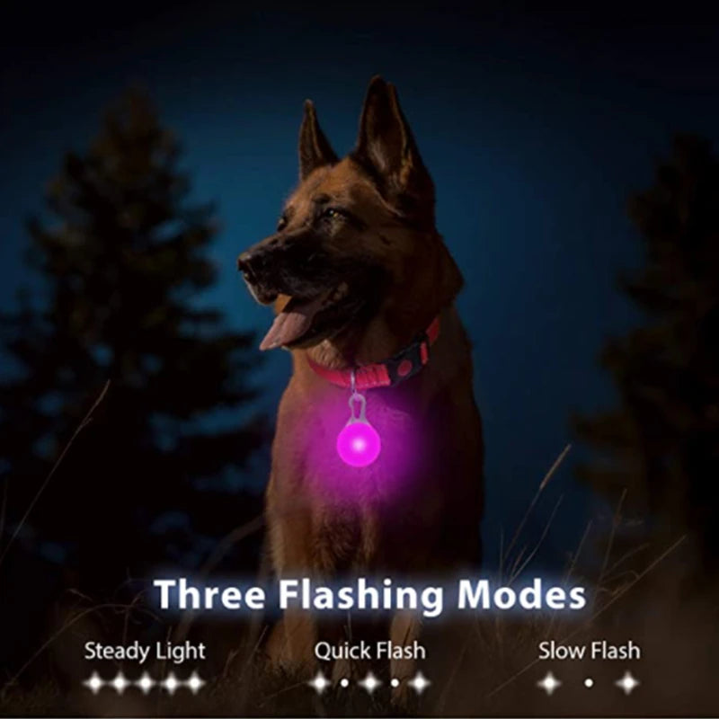 GlowSafe™ – USB Rechargeable LED Dog Collar