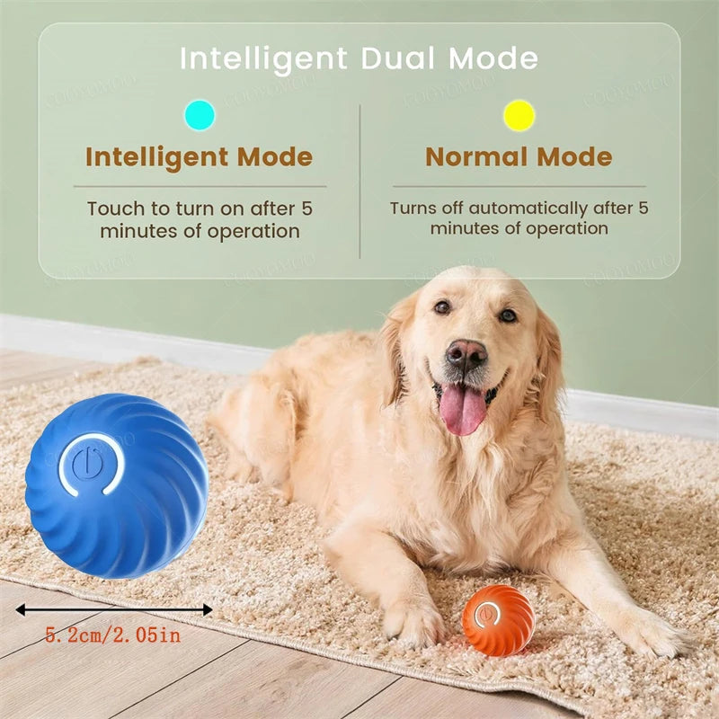 PlayMotion™ – Interactive Smart Pet Ball