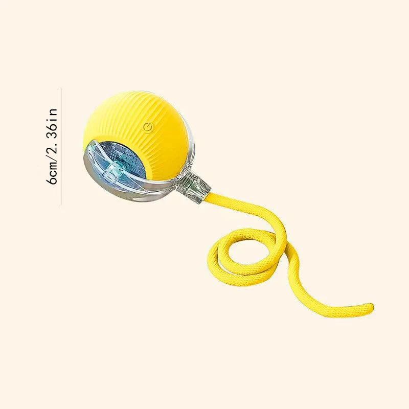 PlayMotion™ – Interactive Smart Pet Ball