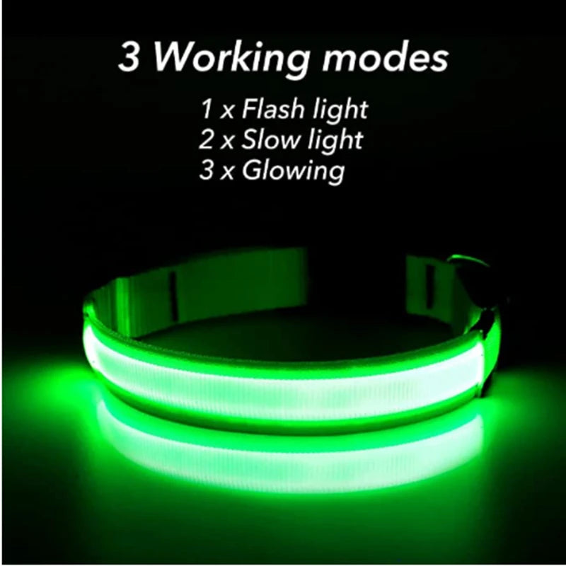 GlowSafe™ – USB Rechargeable LED Dog Collar