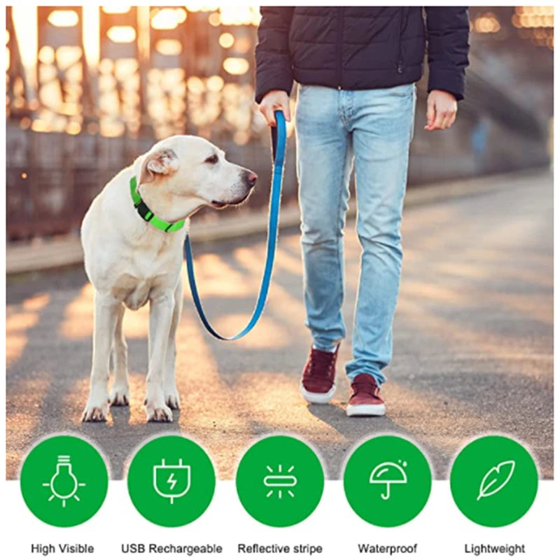 GlowSafe™ – USB Rechargeable LED Dog Collar