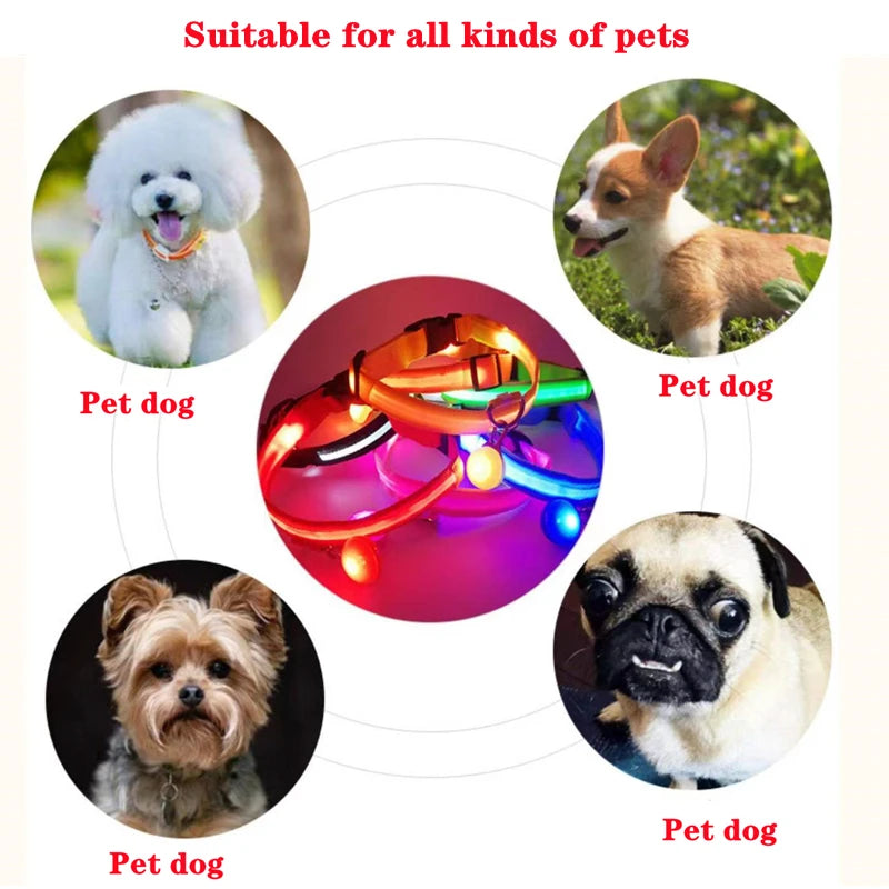 GlowSafe™ – USB Rechargeable LED Dog Collar