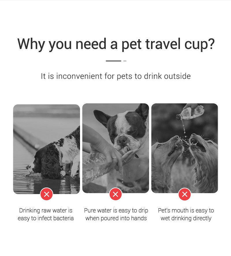 PetHydro Go™ – Portable Leakproof Dog Water Bottle