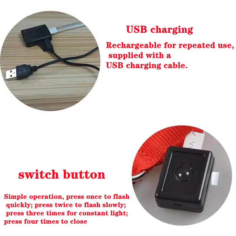 GlowSafe™ – USB Rechargeable LED Dog Collar