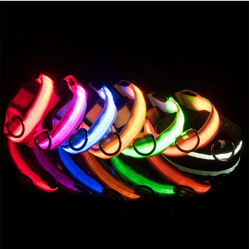 GlowSafe™ – USB Rechargeable LED Dog Collar