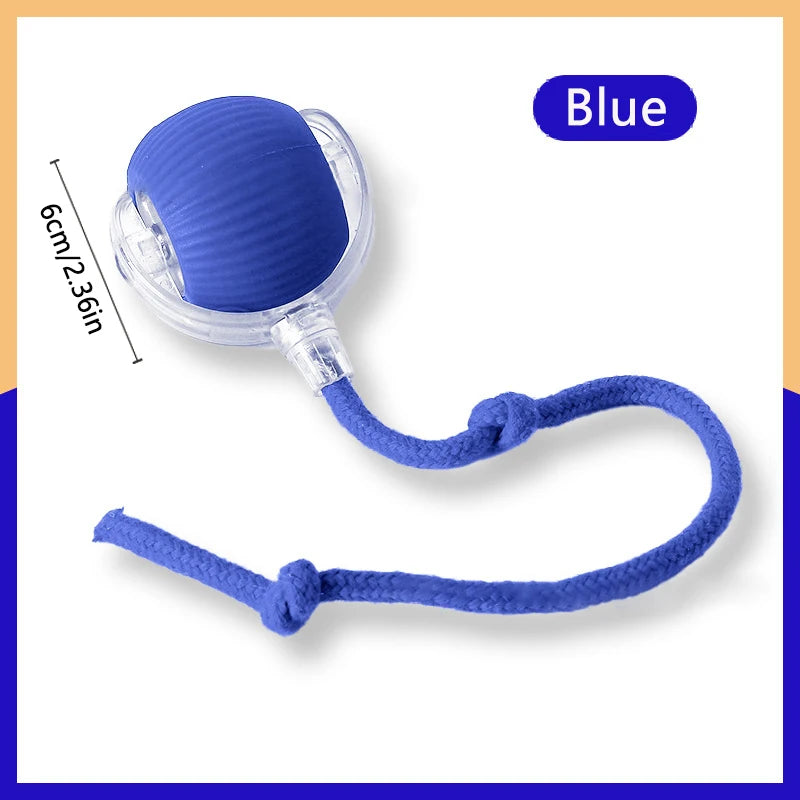PlayMotion™ – Interactive Smart Pet Ball