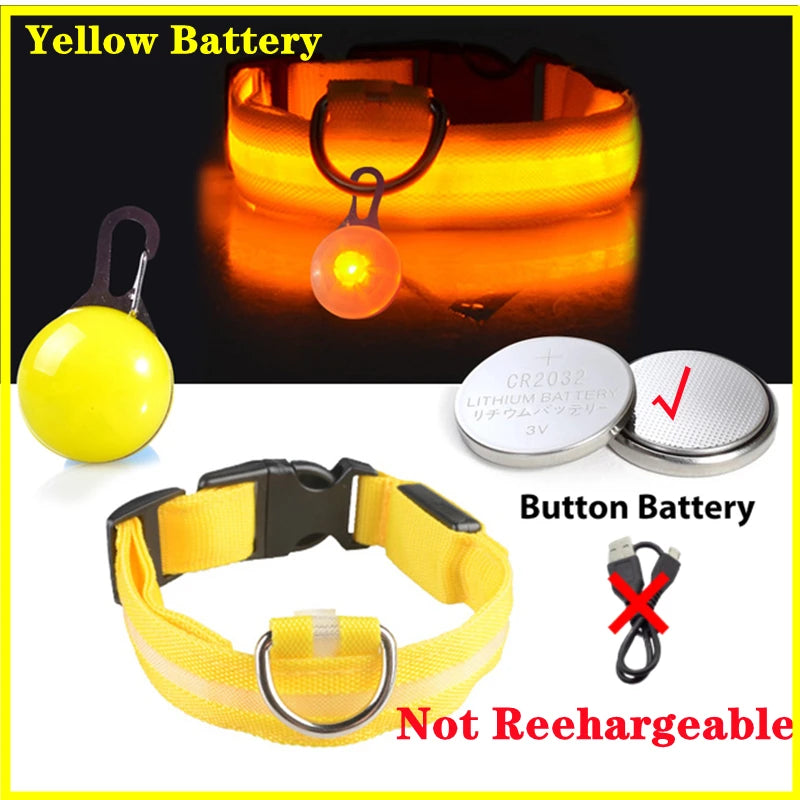 GlowSafe™ – USB Rechargeable LED Dog Collar