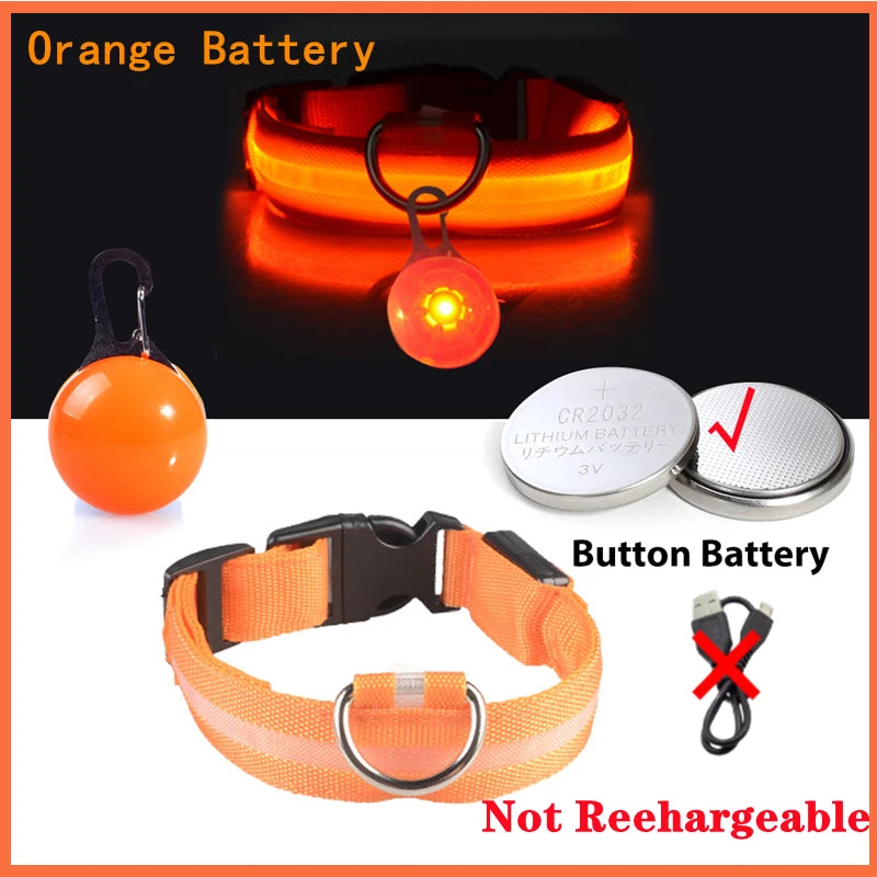 GlowSafe™ – USB Rechargeable LED Dog Collar