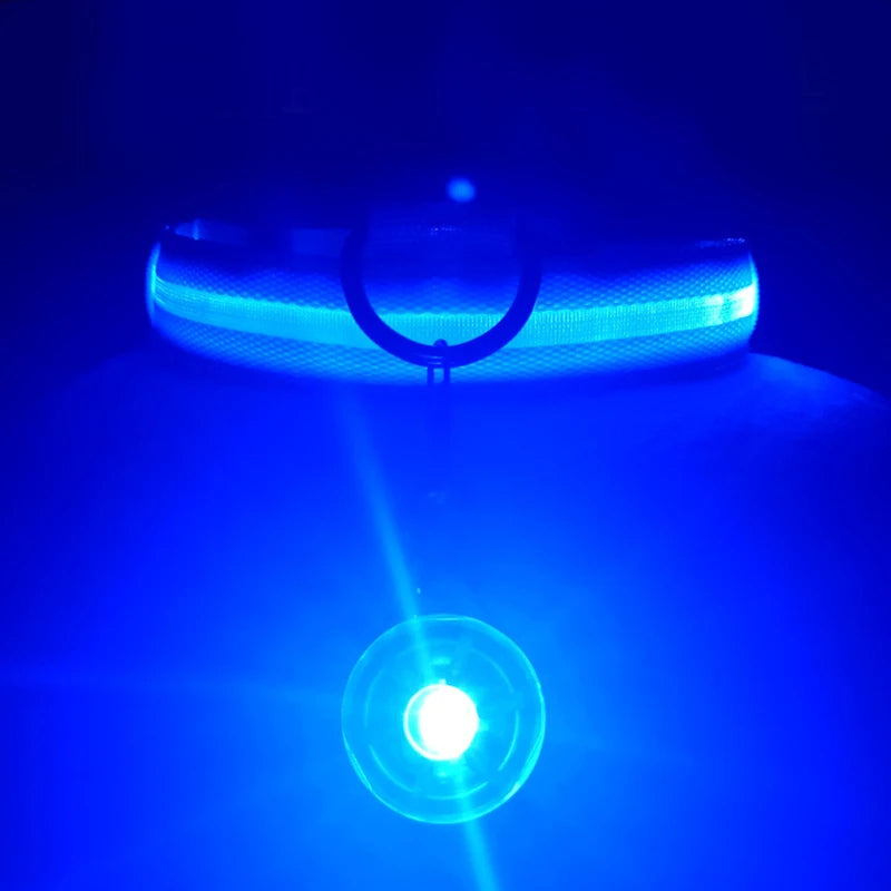 GlowSafe™ – USB Rechargeable LED Dog Collar
