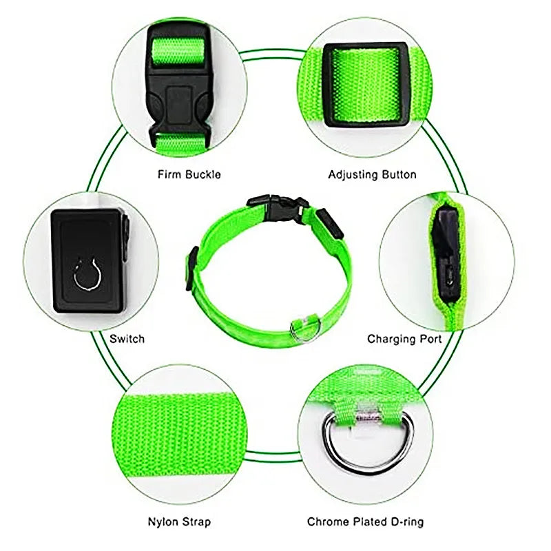 GlowSafe™ – USB Rechargeable LED Dog Collar