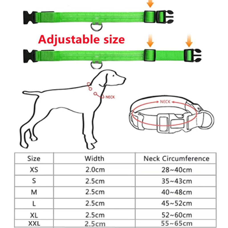 GlowSafe™ – USB Rechargeable LED Dog Collar
