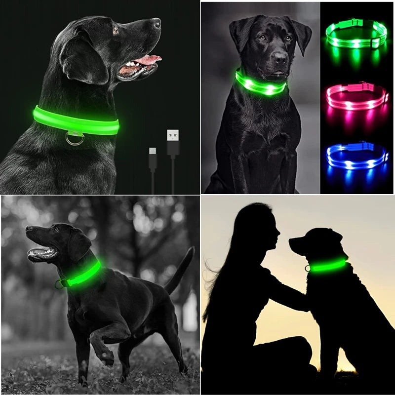 GlowSafe™ – USB Rechargeable LED Dog Collar