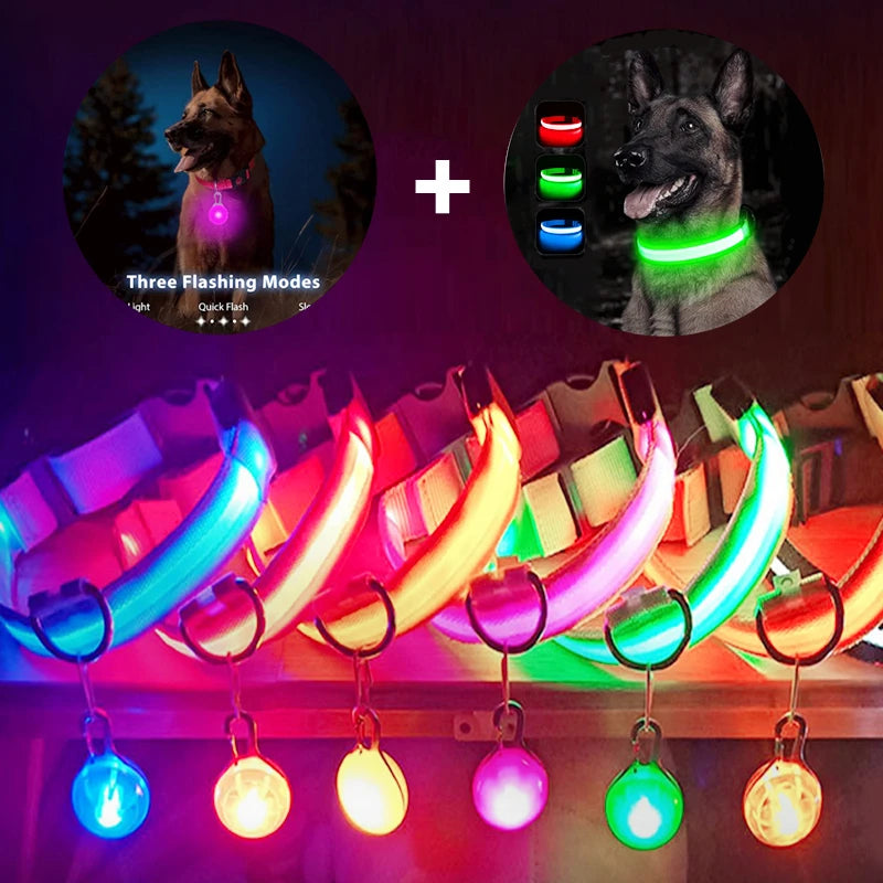 GlowSafe™ – USB Rechargeable LED Dog Collar