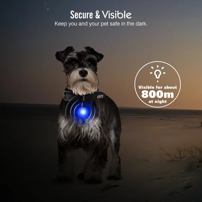 GlowSafe™ – USB Rechargeable LED Dog Collar