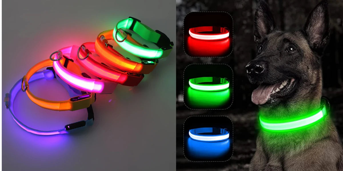 GlowSafe™ – USB Rechargeable LED Dog Collar