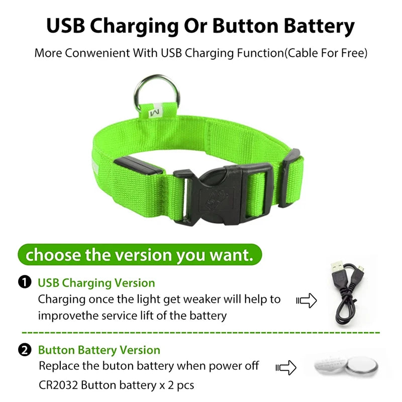 GlowSafe™ – USB Rechargeable LED Dog Collar