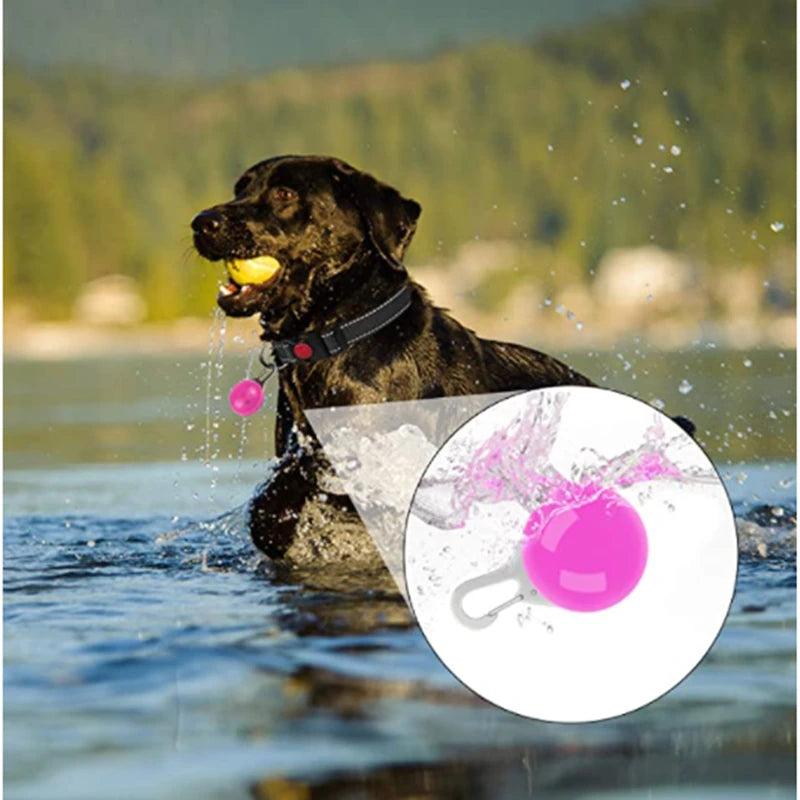 GlowSafe™ – USB Rechargeable LED Dog Collar