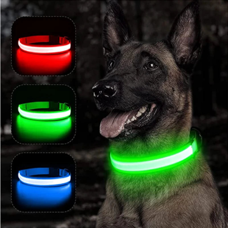 GlowSafe™ – USB Rechargeable LED Dog Collar