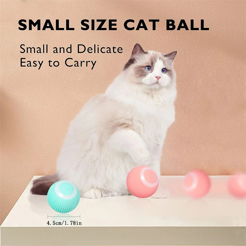 PlayMotion™ – Interactive Smart Pet Ball