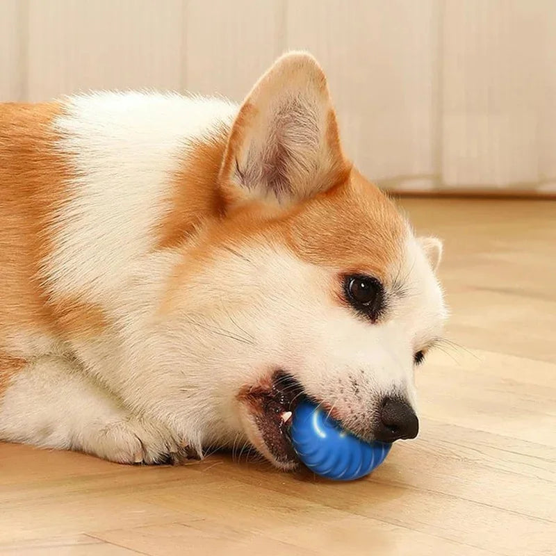 PlayMotion™ – Interactive Smart Pet Ball