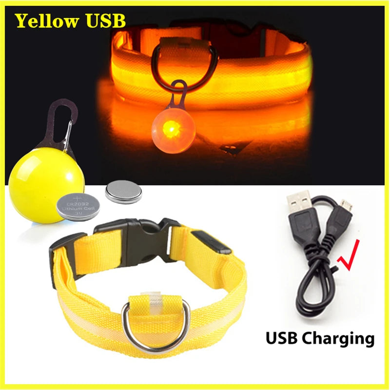 GlowSafe™ – USB Rechargeable LED Dog Collar