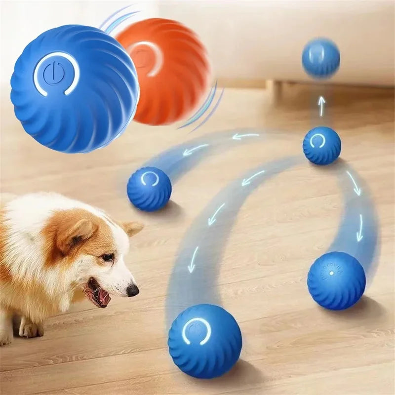 PlayMotion™ – Interactive Smart Pet Ball