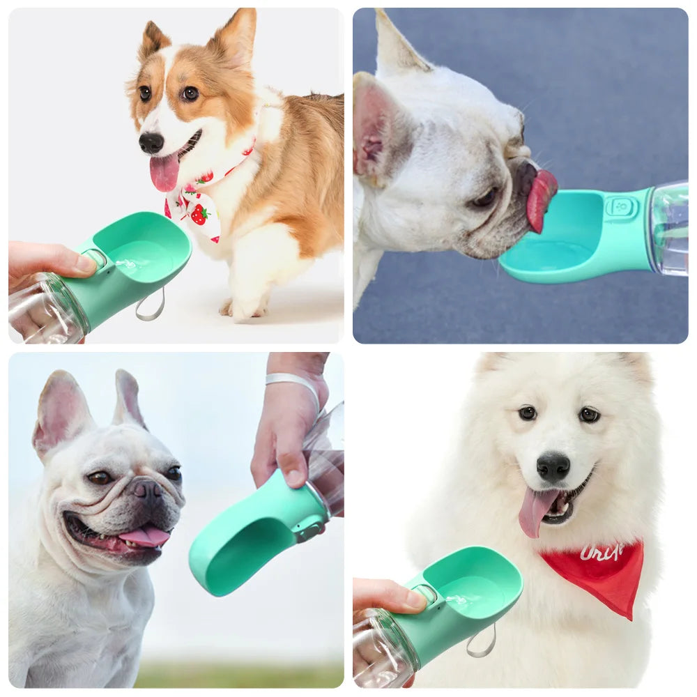 PetHydro Go™ – Portable Leakproof Dog Water Bottle