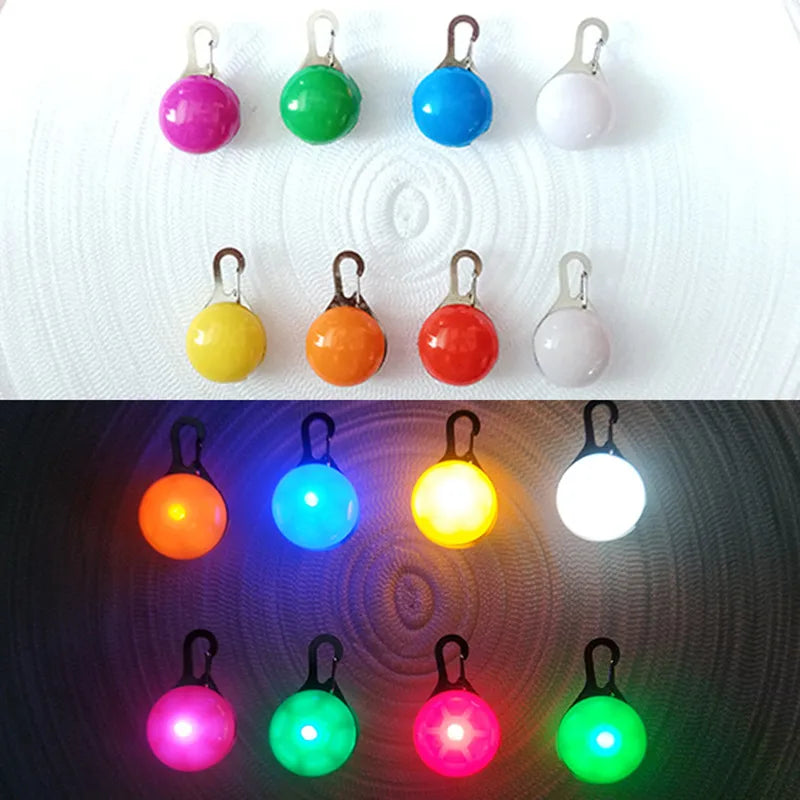 GlowSafe™ – USB Rechargeable LED Dog Collar