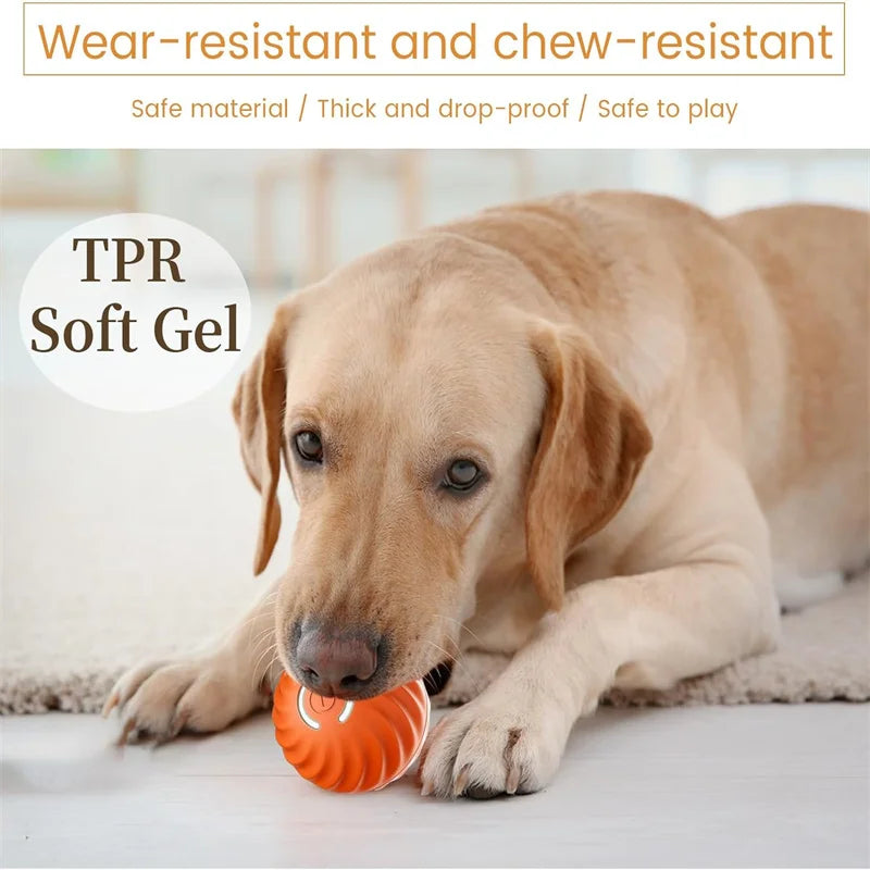 PlayMotion™ – Interactive Smart Pet Ball