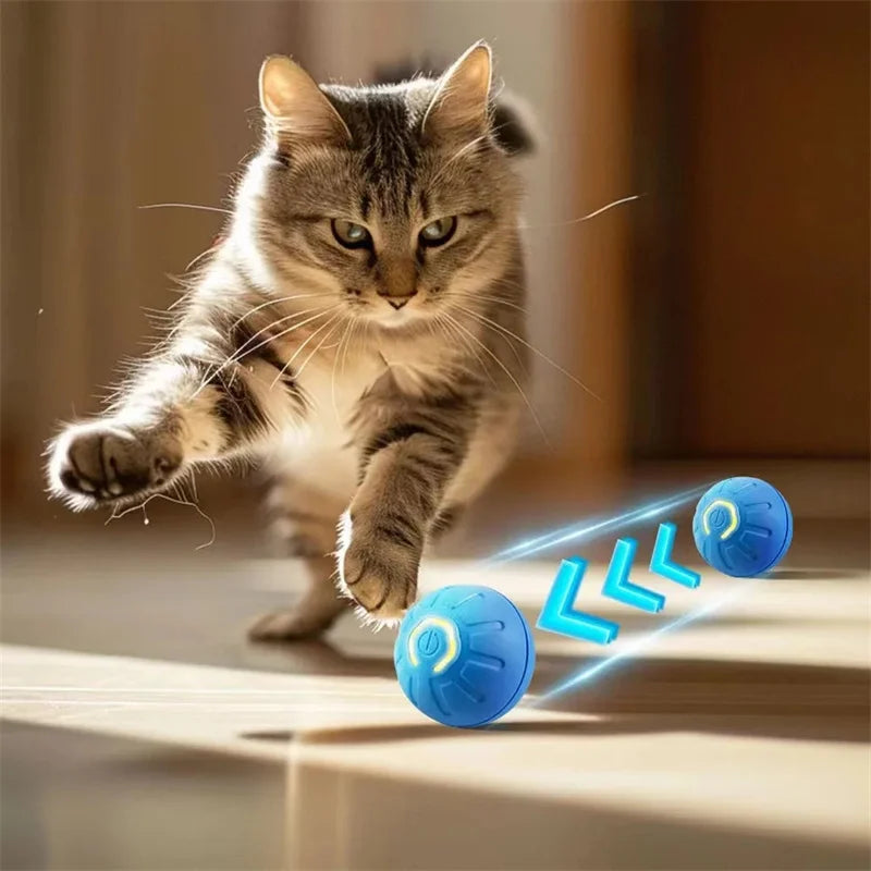 PlayMotion™ – Interactive Smart Pet Ball
