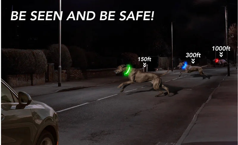 GlowSafe™ – USB Rechargeable LED Dog Collar