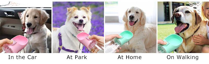 PetHydro Go™ – Portable Leakproof Dog Water Bottle