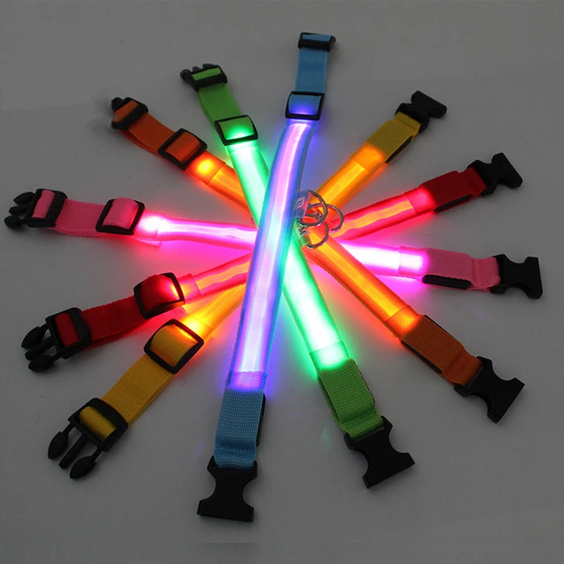 GlowSafe™ – USB Rechargeable LED Dog Collar