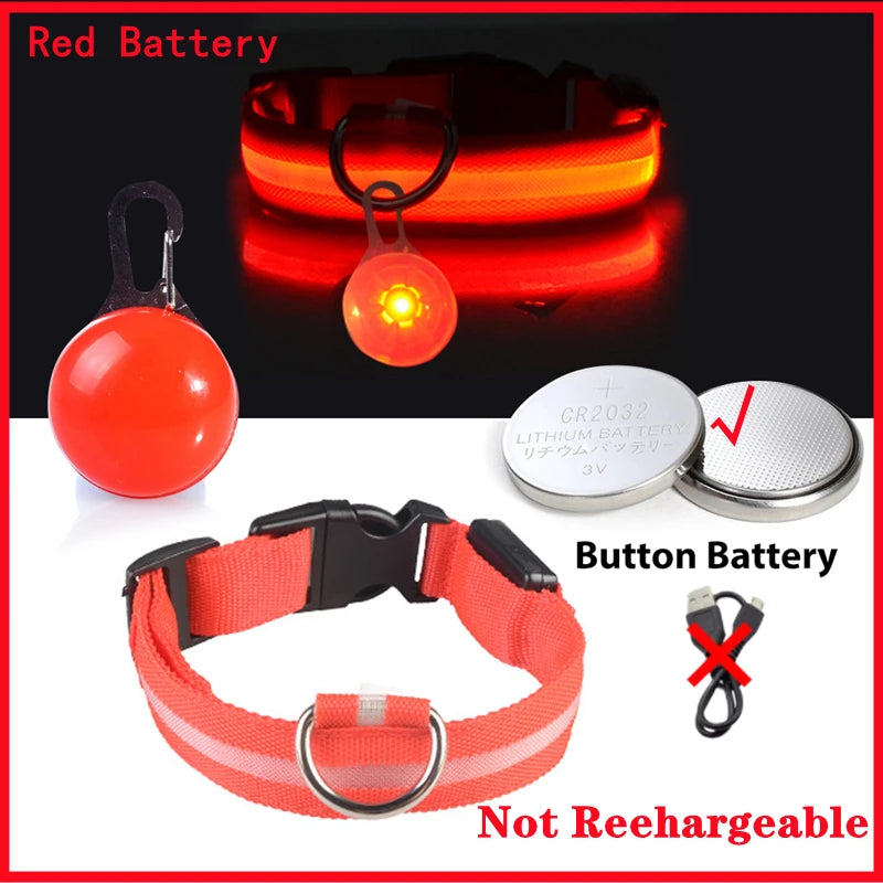 GlowSafe™ – USB Rechargeable LED Dog Collar