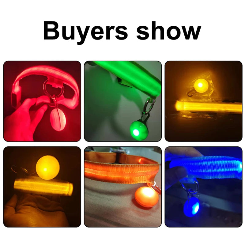 GlowSafe™ – USB Rechargeable LED Dog Collar