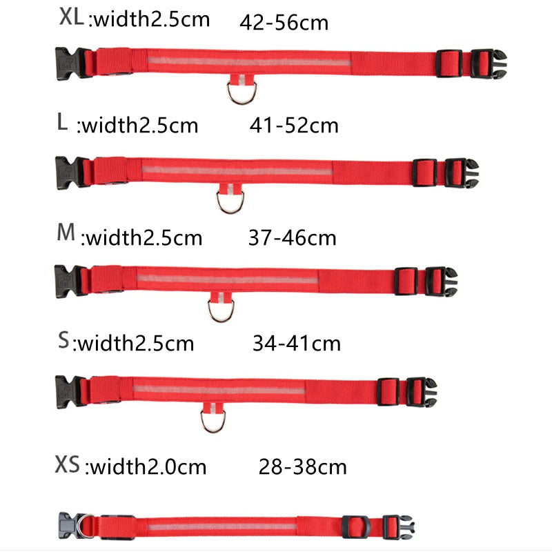 GlowSafe™ – USB Rechargeable LED Dog Collar