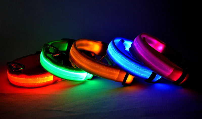 GlowSafe™ – USB Rechargeable LED Dog Collar