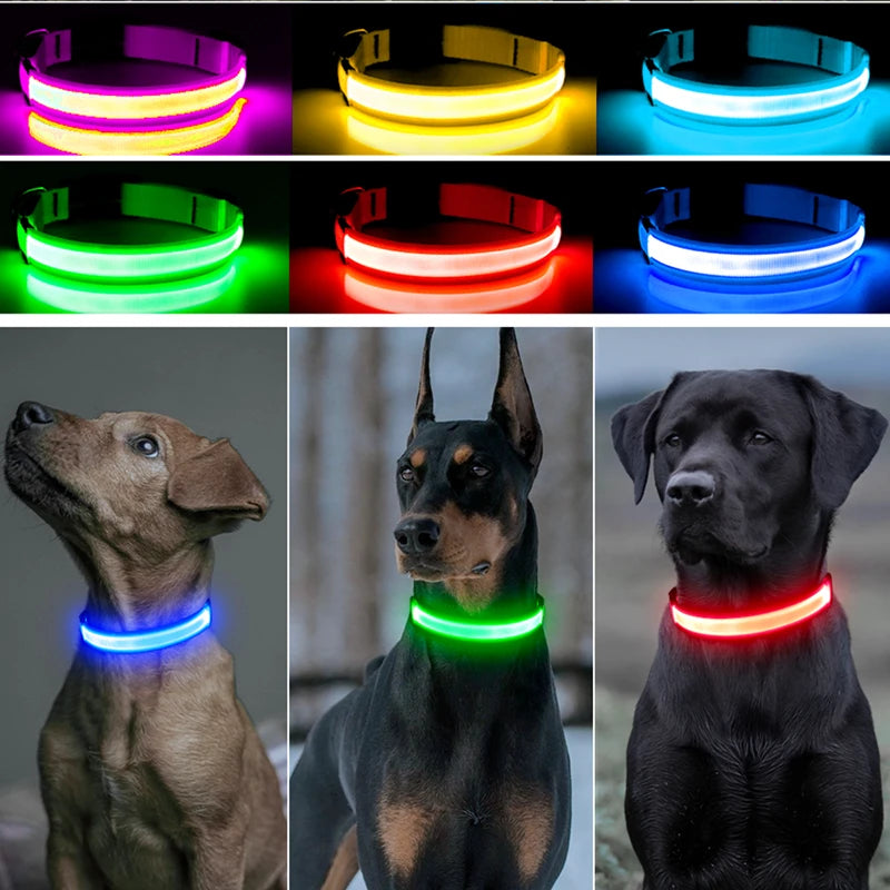 GlowSafe™ – USB Rechargeable LED Dog Collar