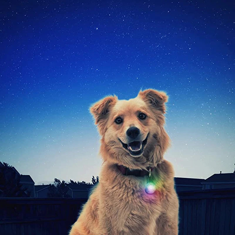 GlowSafe™ – USB Rechargeable LED Dog Collar