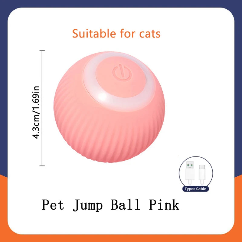 PlayMotion™ – Interactive Smart Pet Ball