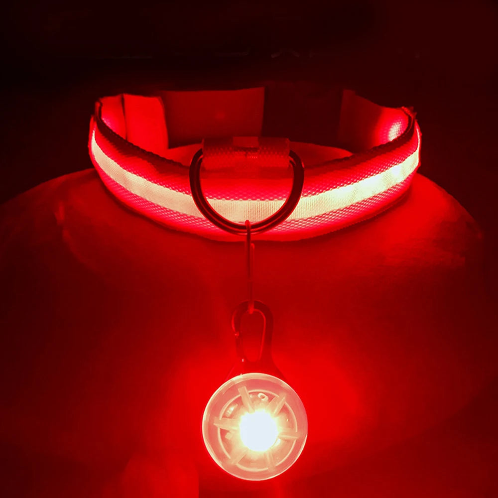 GlowSafe™ – USB Rechargeable LED Dog Collar