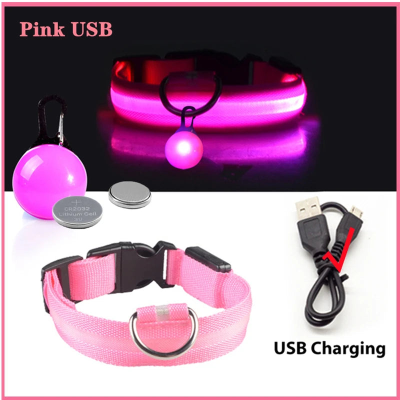 GlowSafe™ – USB Rechargeable LED Dog Collar