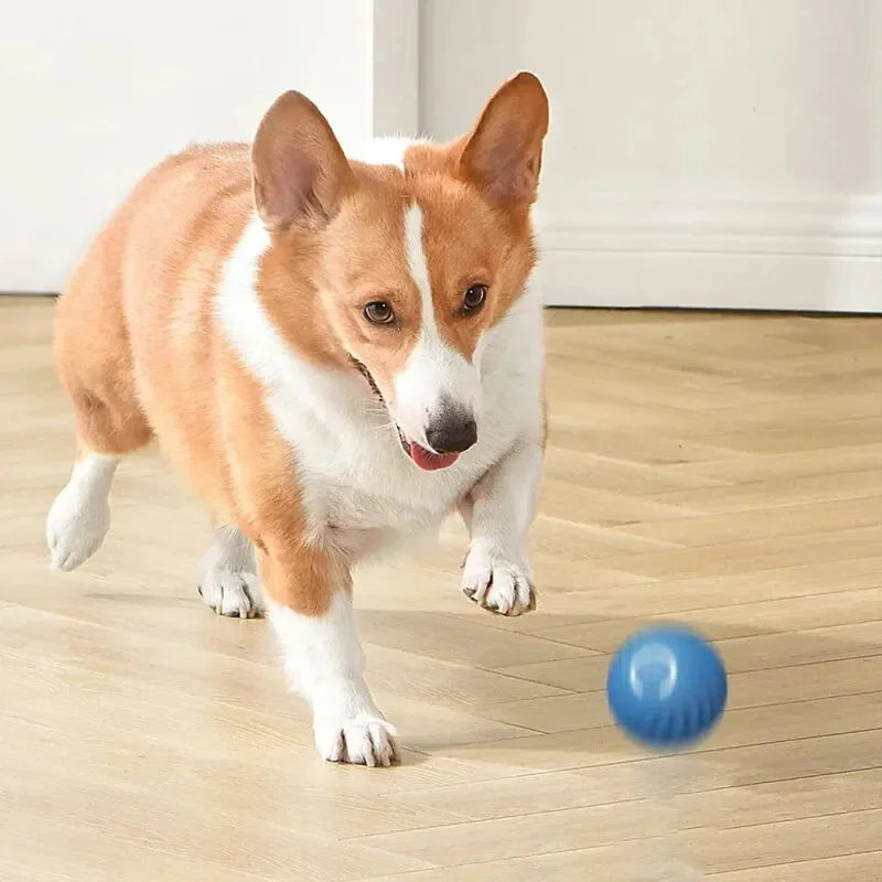 PlayMotion™ – Interactive Smart Pet Ball