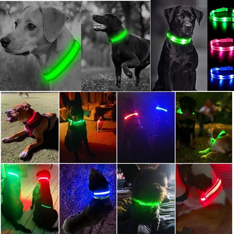 GlowSafe™ – USB Rechargeable LED Dog Collar