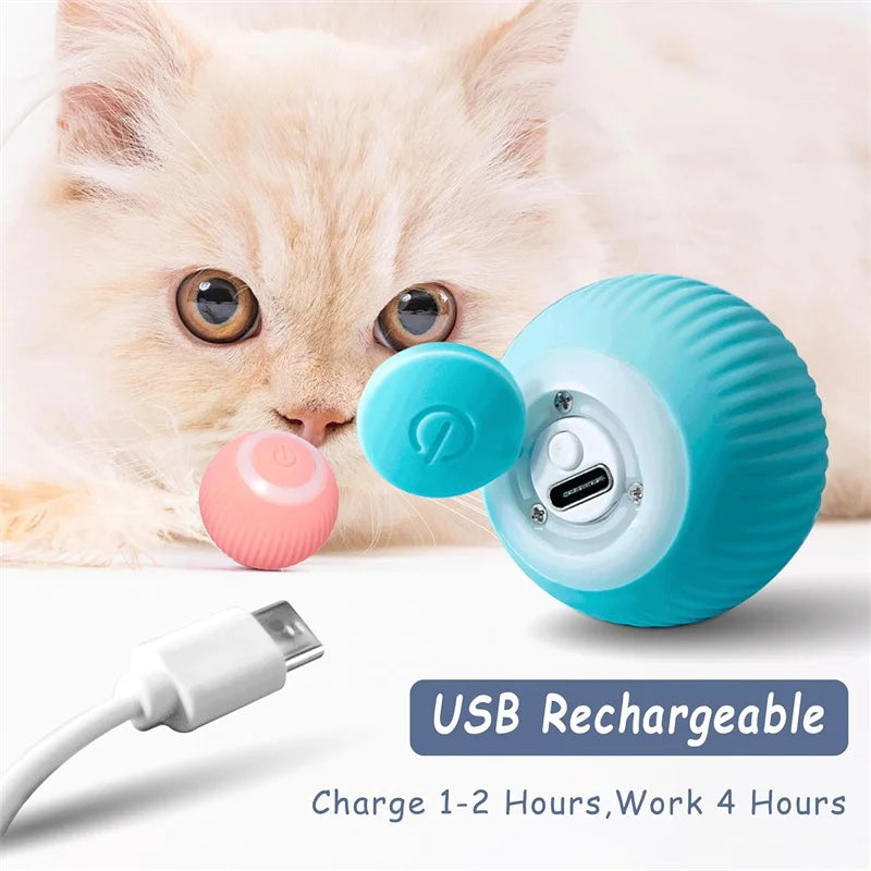 PlayMotion™ – Interactive Smart Pet Ball