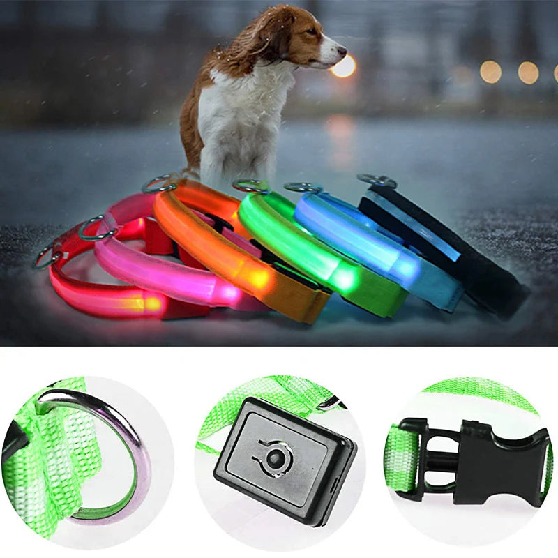GlowSafe™ – USB Rechargeable LED Dog Collar