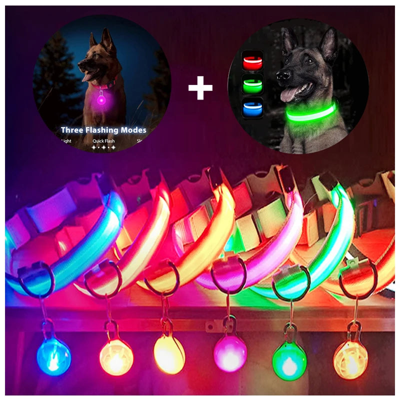 GlowSafe™ – USB Rechargeable LED Dog Collar